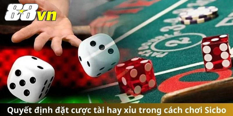 Tổng Quan Về Top Nhà Cái